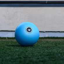 Load image into Gallery viewer, 10&quot; Stability Ball

